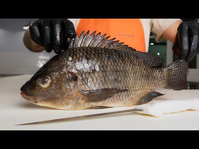 The Truth About Tilapia