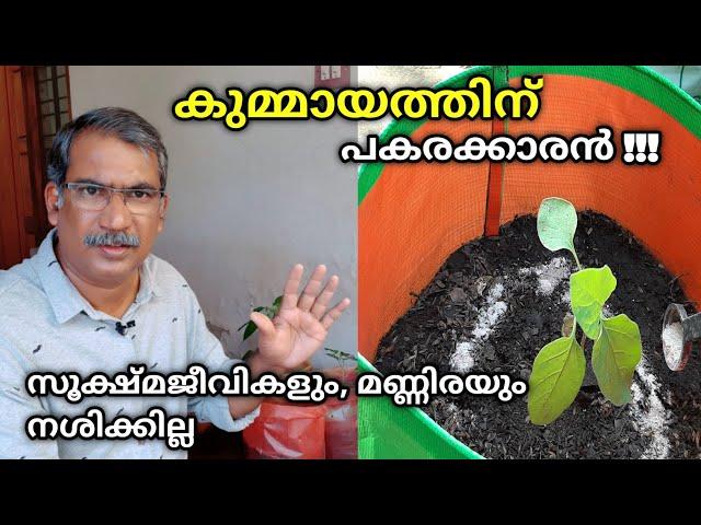 കുമ്മായത്തിന് പകരക്കാരൻ|വള ത്തിൻറെ കൂടെ ഒരുമിച്ച് ഉപയോഗിക്കാം|What kind of Lime is used for Fields?