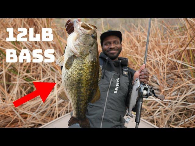 Catching Giant Bass With Big Soft Swimbaits Is Too Easy!