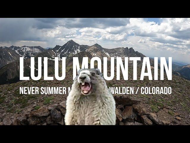 Lulu Mountain // Never Summer Mountains // State Forest