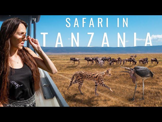 You Won't Believe What Happened on our Tanzania Safari (Ngorongoro Crater)