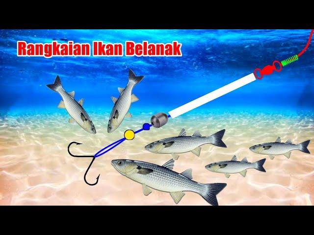 Rangkaian Pancing Ikan Belanak - Anti Mocel