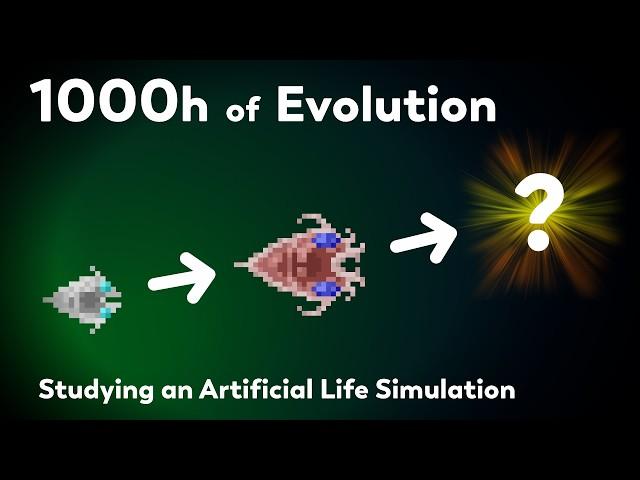 What happens after 1000 hours of Evolution?    Recreating the largest evolution experiment ever