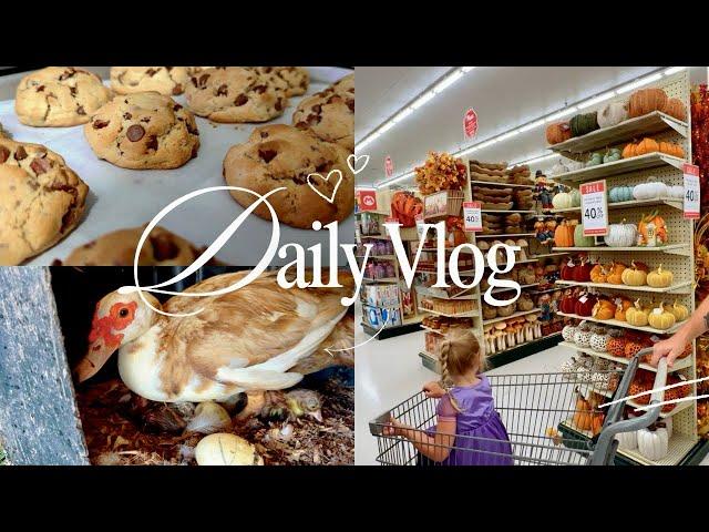 Pregnant with baby #4 shop with me daily vlog