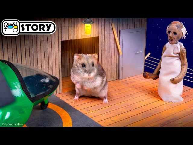  Hamster Escapes the Granny Maze with Grandpa  Homura Ham Pets