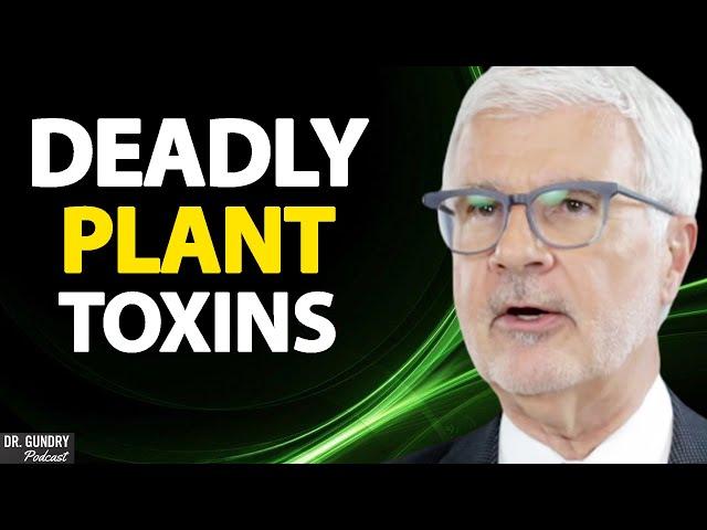 Lectins (Plant Toxins) Explained | Dr. Gundry Clips