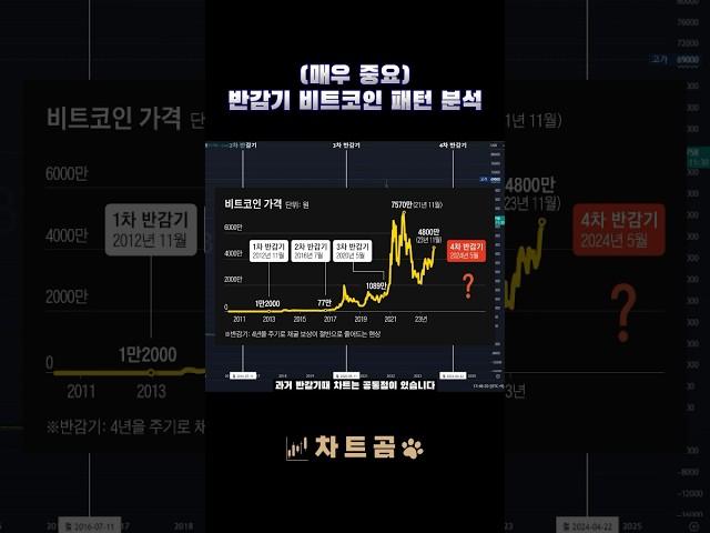 [1분코인] 반감기 비트코인 패턴 분석