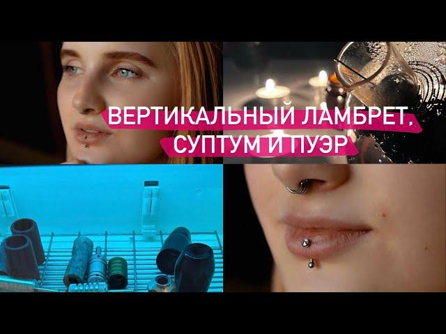 vlog// чайная церемония и уборка леса || студия pinked phlox