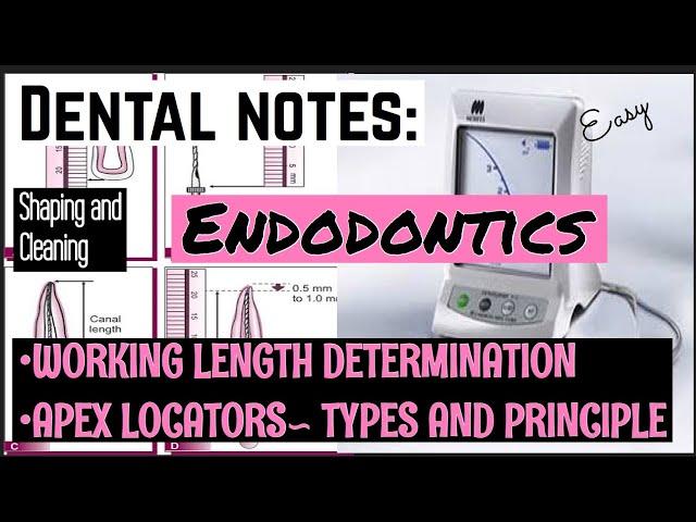 DENTAL NOTES II STUDY WITH ME II ENDODONTICS II SHAPING AND CLEANING PHASES