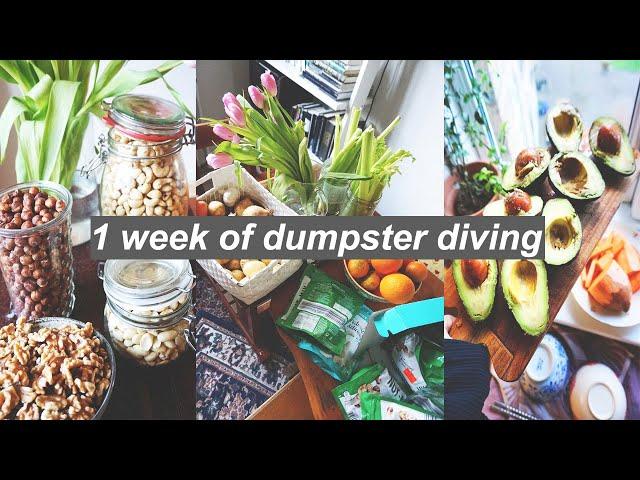 10 Hacks To Avoid Food Waste // zero waste living & dumpster diving