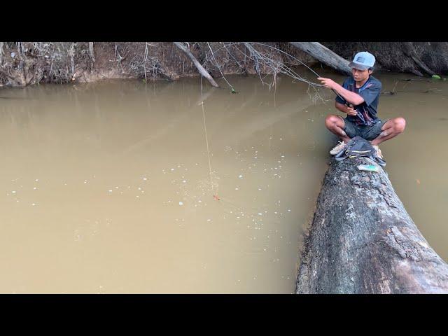 BAHANYA.!!! MANCING DARI ATAS KAYU YANG MELINTANG DI SUNGAI SANGKING ASIK NYA SAMPAI LENGAH