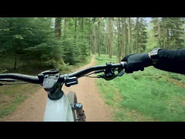 Forest Of Dean: Verderers Trail (Full)