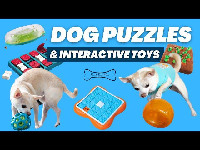 Best Interactive Dog Puzzles & Toys for Mental Stimulation | Proud Dog Mom