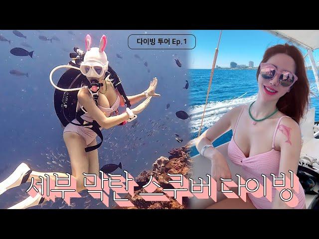 세부 다이빙, 날씨 지금 딱이야! | 비키니 다이빙 | 막탄 스쿠버 다이빙 투어 | 세부여행 | 힐루뚱안 올랑고섬 다이빙 포인트 | 물고기 천국 | 열대어 어류도감 | 제니인더워터