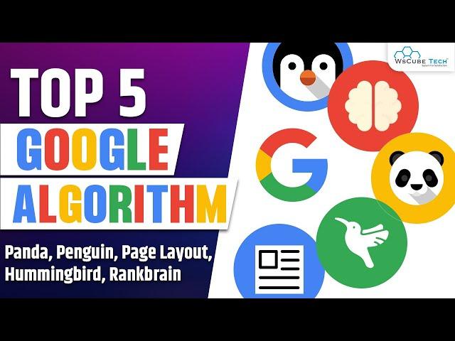 Top 5 Google Algorithms Related To SEO | Panda, Penguin,  Hummingbird, Page Layout & RankBrain