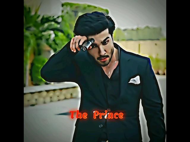 Mir Hadi | The Prince  Feroz khan edits  Attitude  #feroz #ferozkhan #attitudestatus