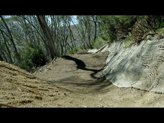 Thredbo MTB | Australia's Premier Mountain Bike Park