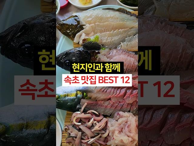 여름 휴가 속초 맛집 BEST 12 l 현지인과 함께 한 콸콸콸 분위기!