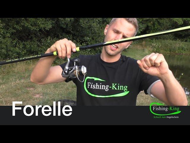 Forellen-Angeln: Die Posenmontage | Fishing-King.de