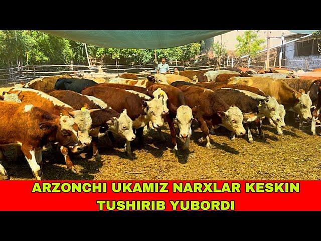 ARZONCHI UKAMIZDAN BONUS 33-587-50-50 / 91-204-17-32 NARXLAR BOSHLANDI