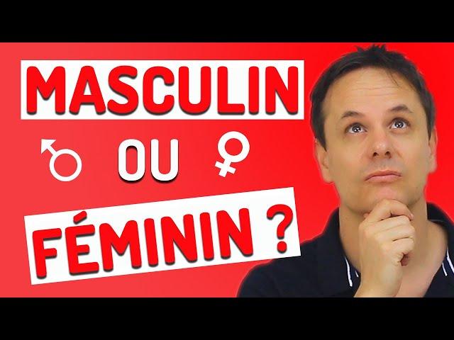 Comment savoir si c'est Masculin ou Féminin en Français? 5 Astuces Très Utiles pour le savoir!!