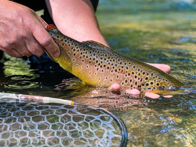 George Daniel Discusses Dry Dropper Tactics in Central PA