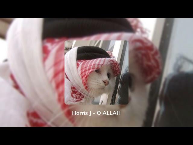 Harris J - O Allah (Speed up + reverb)