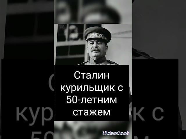Интересные факты о Сталине #иосифсталин #сталин #интересныефакты #josephstalin #stalin #stalin_news