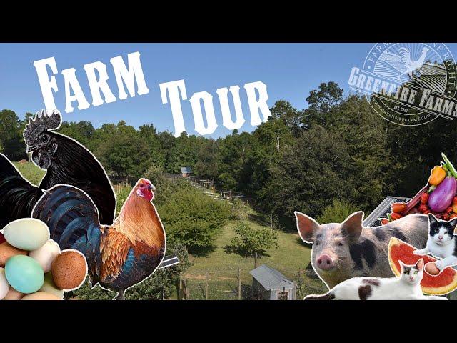 Rare Chicken Farm Tour!│Greenfire Farms