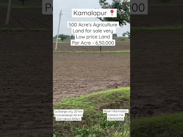 500 Acre’s Agriculture land for sale | very low price land for sale | full water source area | 7 lak