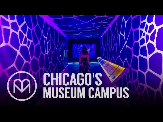 Chicago's Museum Campus