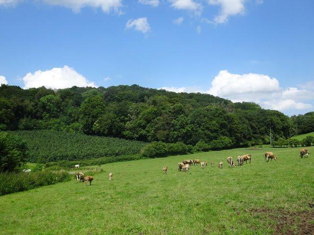 NATUURPARADIJS VOEREN - PARADIS NATUREL FOURONS