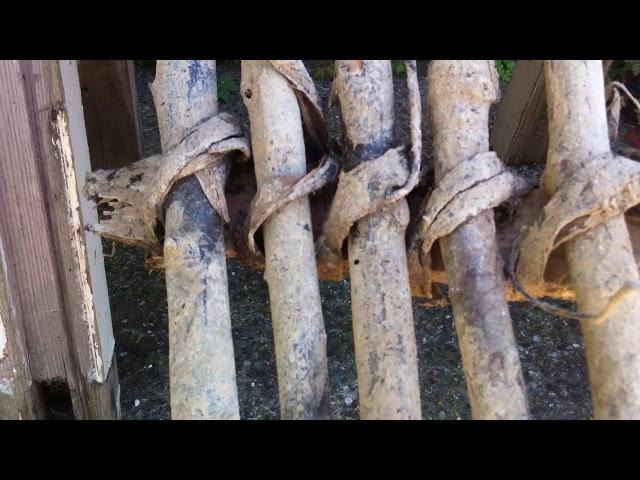 Inside a Wattle and Daub panel from 1400