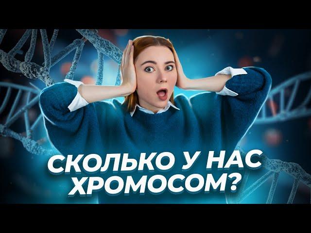 Все о хромосоме для ЕГЭ по биологии | Умскул