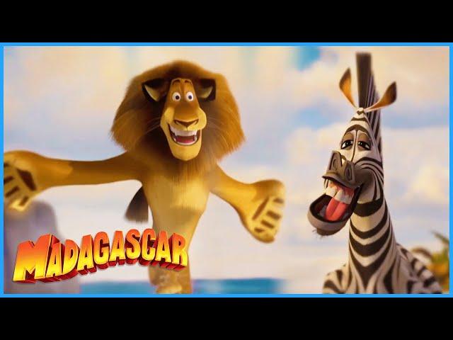 Marty! Alex! Marty! Alex! | Madagascar | Mini Moments