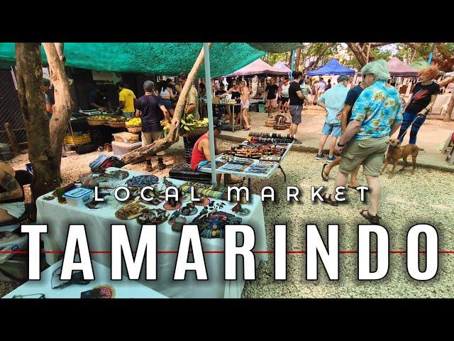 TOUR Of TAMARINDO MARKET, Costa Rica  Super Busy & Lots Of Vendors #travel #tourism