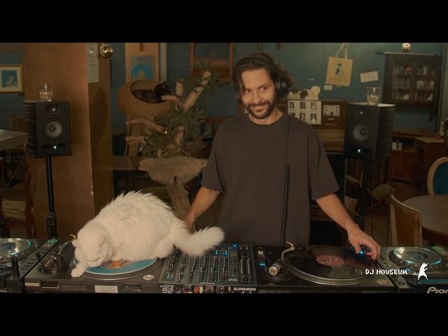 House mix with cats at Le Café des Chats｜DJ Houseum