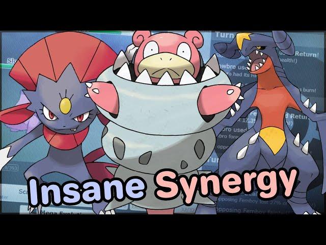 The Most BROKEN Competitive Pokemon Mechanic! (Gen 9 National Dex)