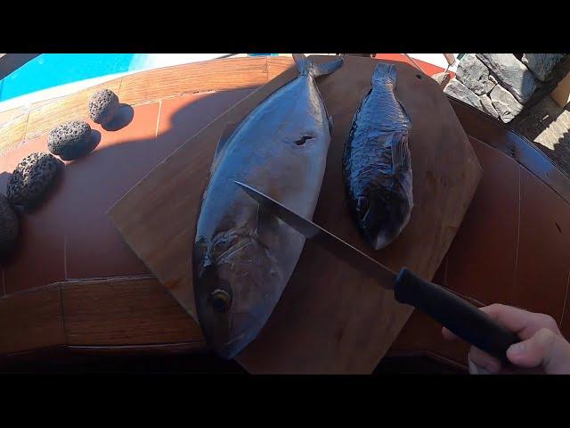 Spearfishing Portugal (Madiera) Parrot Fish & Amberjack Catch and Cook