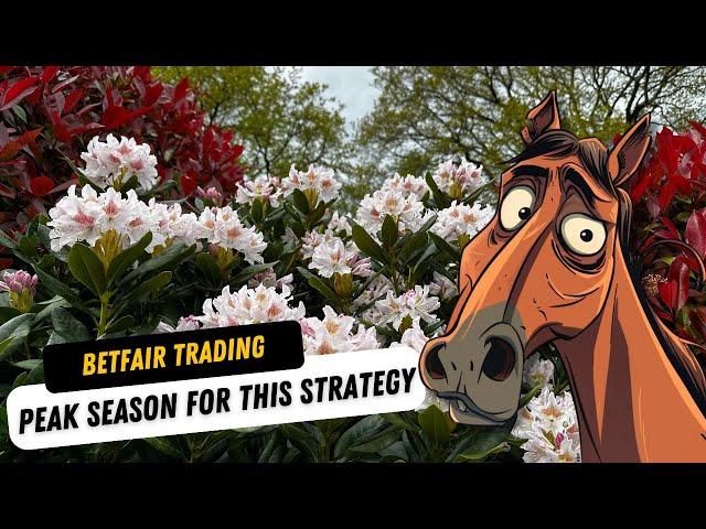 Peak Season to Unlock This Very Effective Betfair Trading Strategy