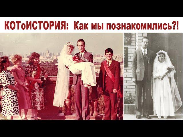 КОТоИСТОРИЯ:  Как познакомились Владимир Кот и Алла - его - Кошечка ️