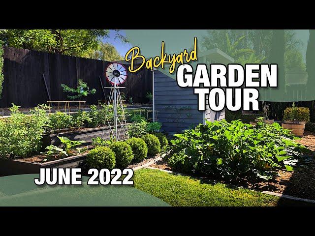 Backyard Garden Tour June 2022 - Zone 10a