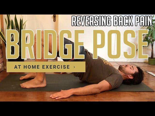 The Bridge Pose For SPECIFICALLY Reversing Back Pain (At Home Exercise)