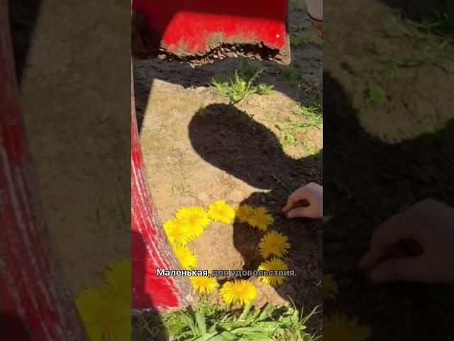 Забирай БЕСПЛАТНЫЙ курс по продвижению в соцсетях в моем профиле 