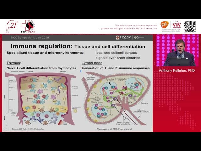 Immune regulation