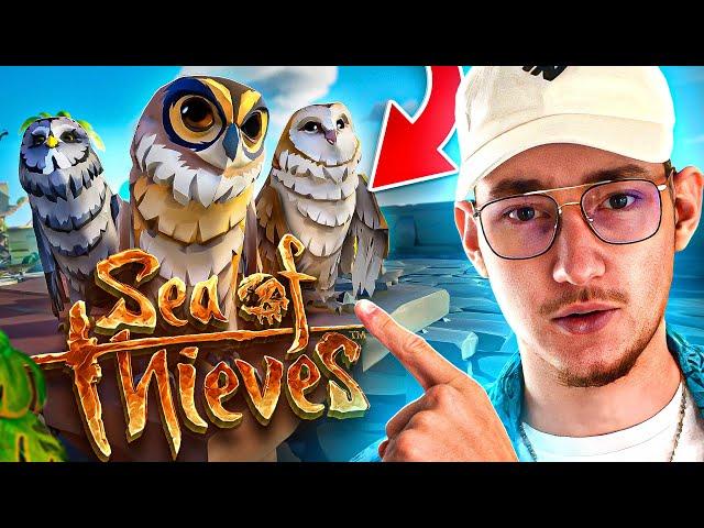 DES CHOUETTES SUR SEA OF THIEVES ?! 