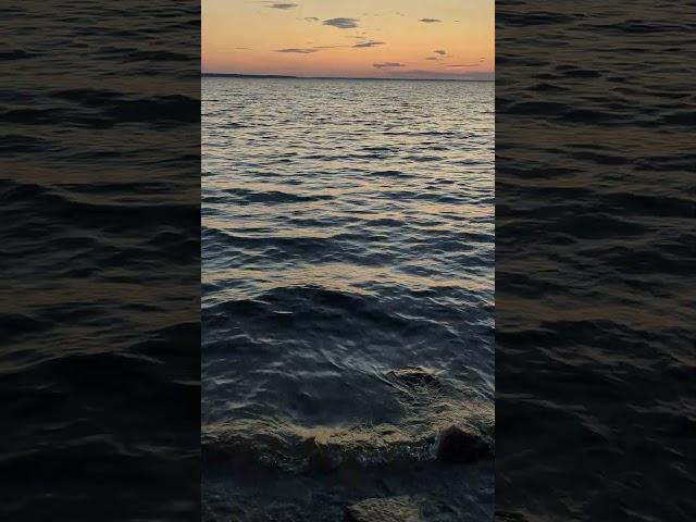 витязево сегодня это место никто не знает