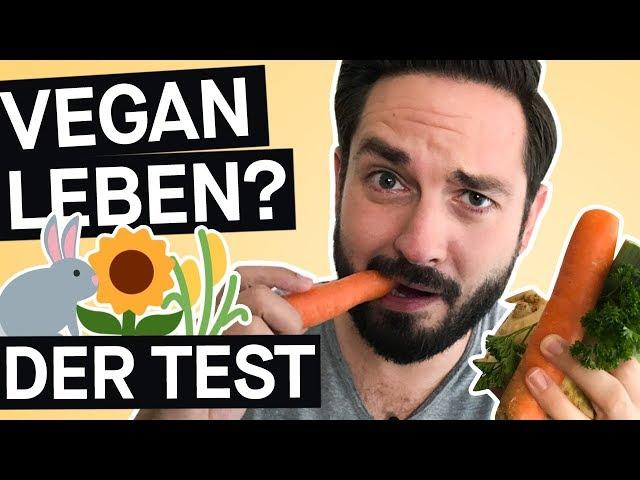 Selbstversuch: 2 Wochen vegan leben – wie ist das? || PULS Reportage