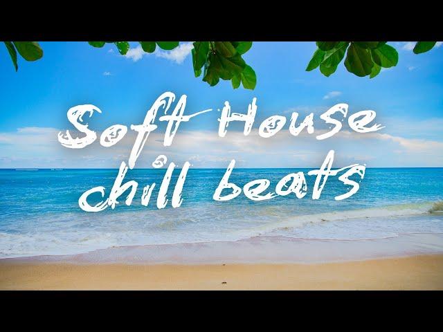  Chill House Beats: Ultimate Playlist 