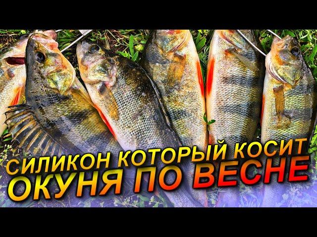 ЭТО РЕАЛЬНО ЖОР ОКУНЯ ВЕСНОЙ! ЛОВЛЯ КРУПНОГО ОКУНЯ НА СПИННИНГ! РЫБАЛКА НА СПИННИНГ 2025/ДЖИГ ВЕСНОЙ